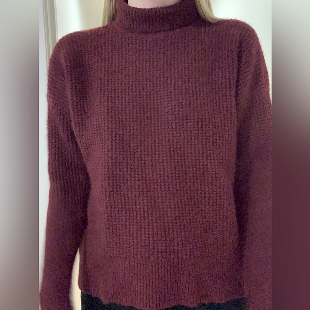 Madewell Burgundy Turtle Neck Merino Wool Sweater